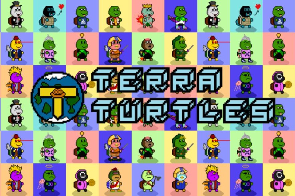 Terra Turtles