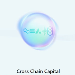 Cross Chain Capital