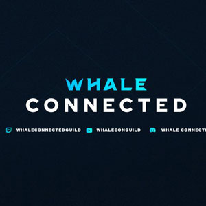 Whale Connected