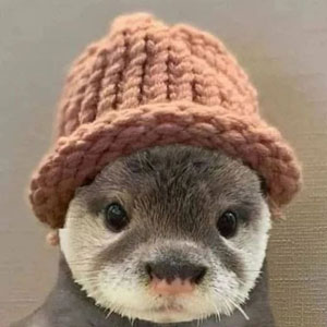 Jimmy the Otter