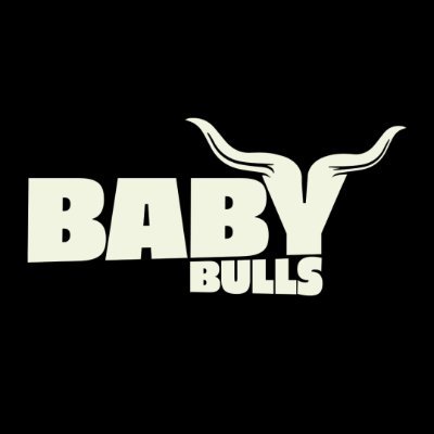 Baby Bulls