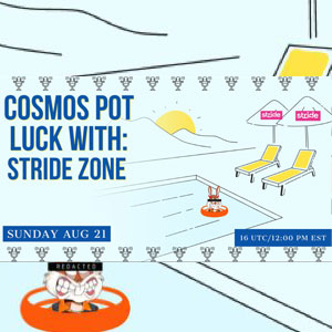 Cosmos Pot Luck with Stride