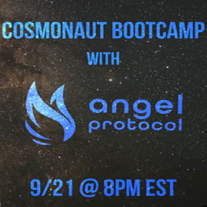 Cosmonaut Bootcamp with Angel Protocol