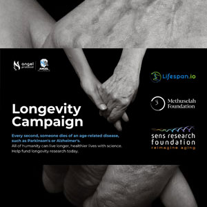 Angel Protocol Longevity Campaign
