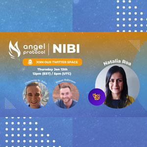 Angel Protocol Partner Spotlight Nibi