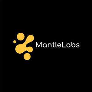 AssetMantle Mantle Labs