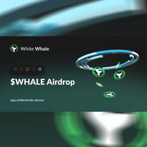 White Whale Community Call