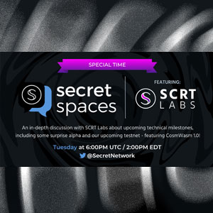 Secret Spaces Ft. SCRT Labs