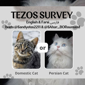 Tezos Survey with SandyToes