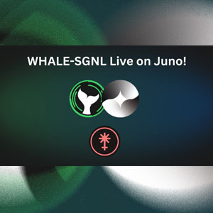 White Whale and Astrovault - JUNO Open conversation