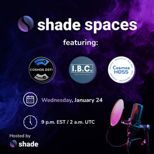 Shade Spaces Privacy VS Transparency