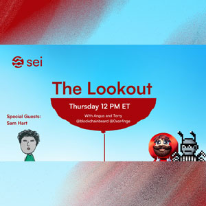 The Lookout with SEI Network
