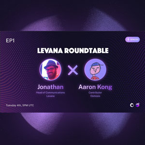 Levana Roundtable 1 Aaron Kong